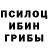 Псилоцибиновые грибы ЛСД idiot widowmaker