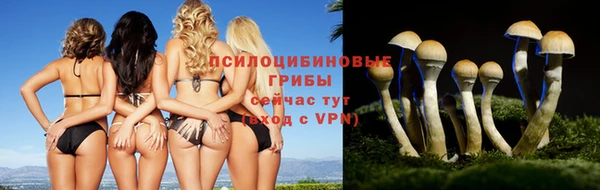 соль ск Абаза