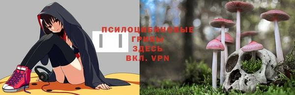 гашик Абинск