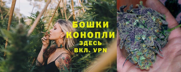 гашик Абинск