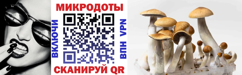 Галлюциногенные грибы мухоморы Разумное